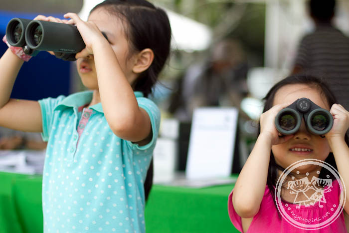 Girls using binoculars